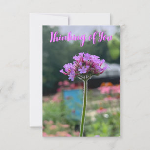 Remerciements Une carte "Pensez à vous" avec une pointe de Z