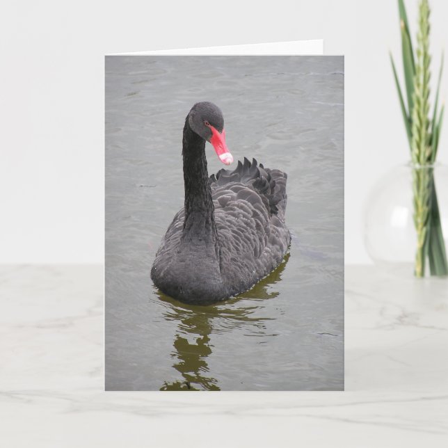 Remerciements Une photo d'un cygne noir sur une carte de billet (Devant)