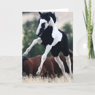 Remerciements Wild Mustang Filly "Hopi" Carte de voeux