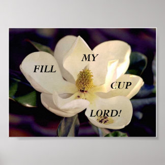 Remplissez Ma Coupe ! Affiche