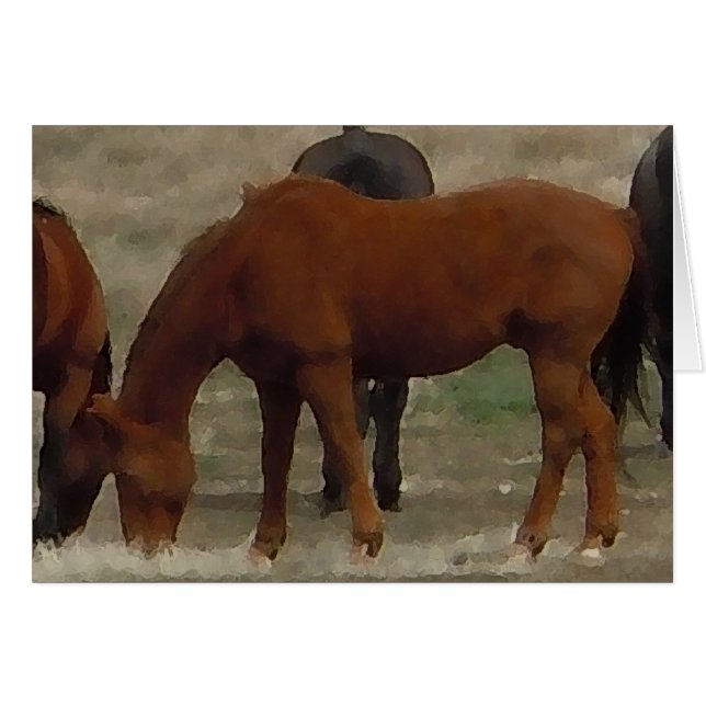 Remuda Herd Grazes - Ranch Chevaux de vache - Blan (Devant horizontal)
