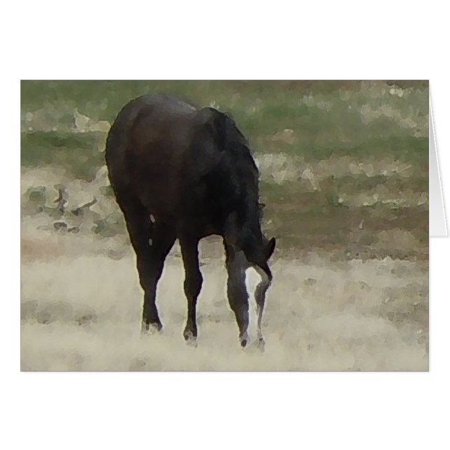 Remuda Herd Grazes - Ranch Chevaux de vache - Blan (Devant horizontal)