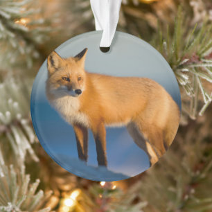 Renard Brown