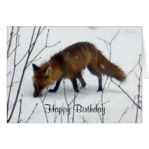 Renard d'anniversaire en carte de neige