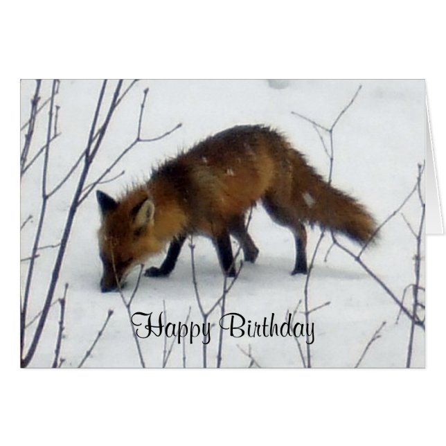 Renard d'anniversaire en carte de neige (Devant horizontal)