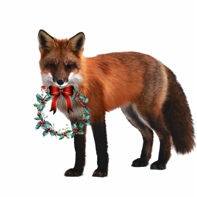 Renard de Noël avec couronne Photo Sculpture Ornem (Devant)