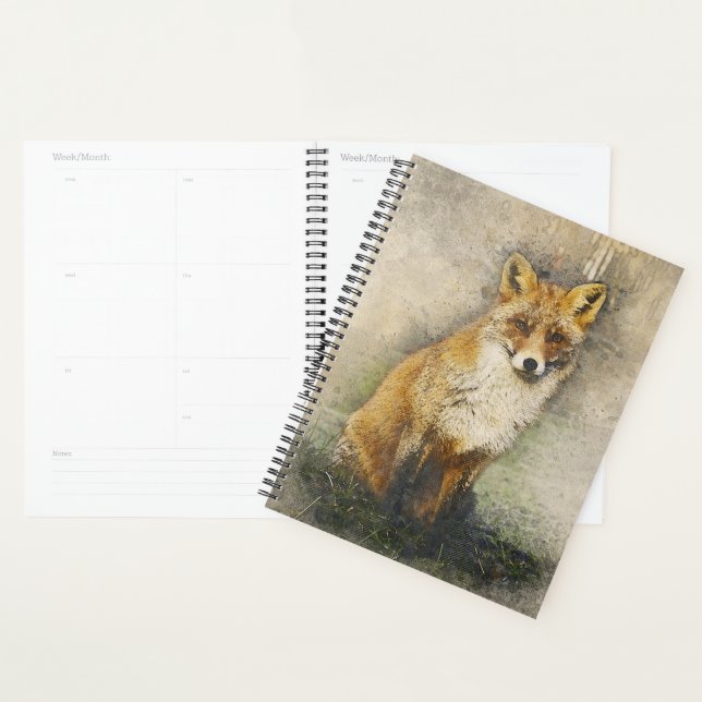 Renard rouge (Devant avec enveloppe)