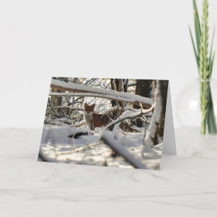 Renard rouge dans la carte de Noël en bois d'hiver