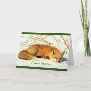 Renard rouge dans la carte de vacances pliée neige