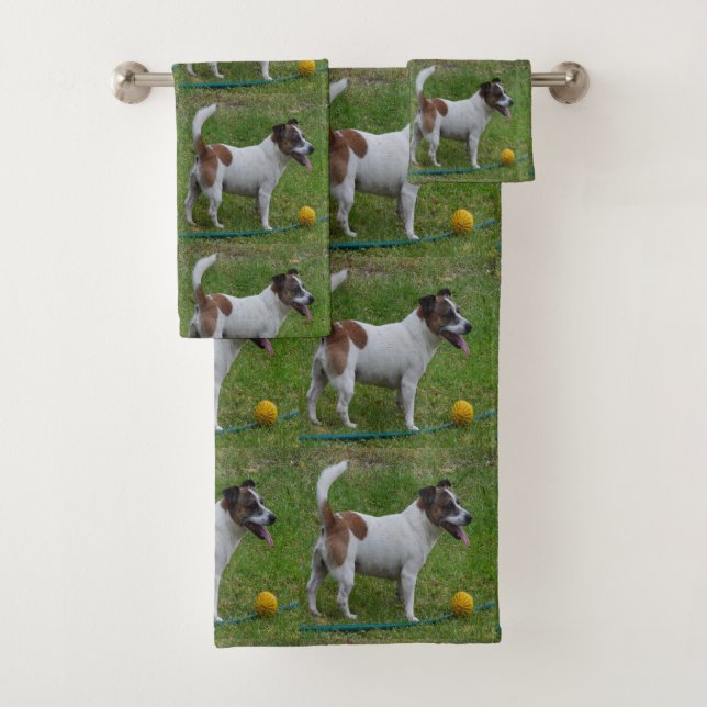 Renard Terrier Avec Sa Boule Jaune, Serviette De B (En situation)