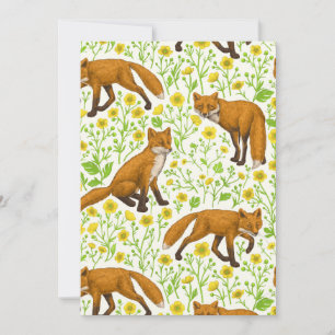 Renards et papillons sur le blanc naturel