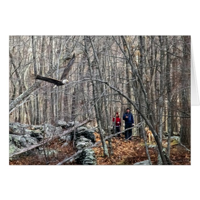 Rencontre de l'aigle à tête blanche (Devant horizontal)
