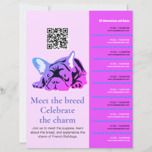 Rencontre et salutations des French Bulldog Flyer