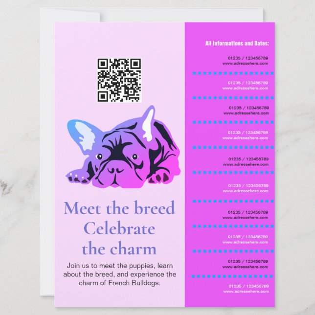 Rencontre et salutations des French Bulldog Flyer (Devant)