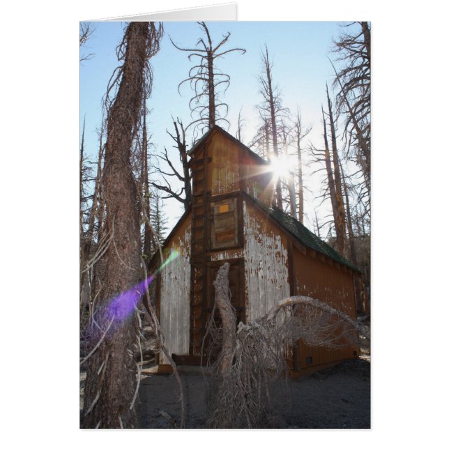 Rencontrer moi ! - Customisé (Devant)