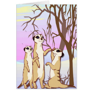Rencontrez les meerkats, famille dans la neige
