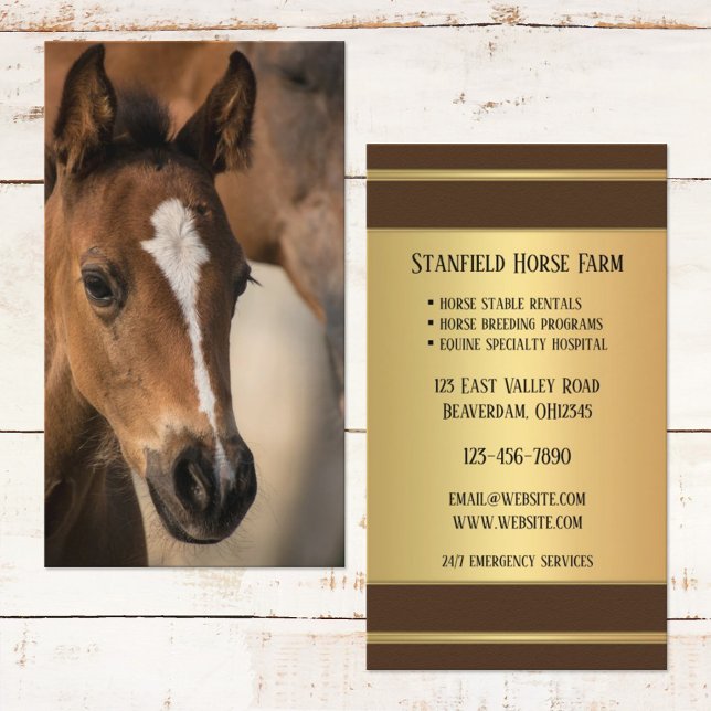 Rendez-vous Carte de visite professionnel Horse Stables (Créateur téléchargé)