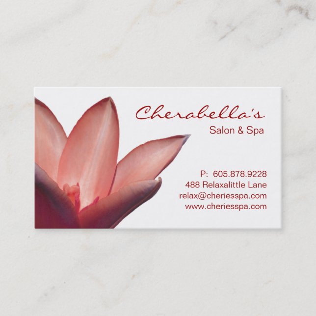Rendez-vous Spa - carte de visite de thérapie de massage de (Devant)