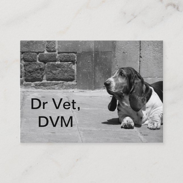 Rendez-vous Vet Carte de visite III (Devant)