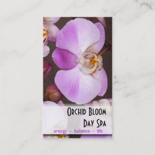 Rendez-vous violet et blanc de photo d'orchidée