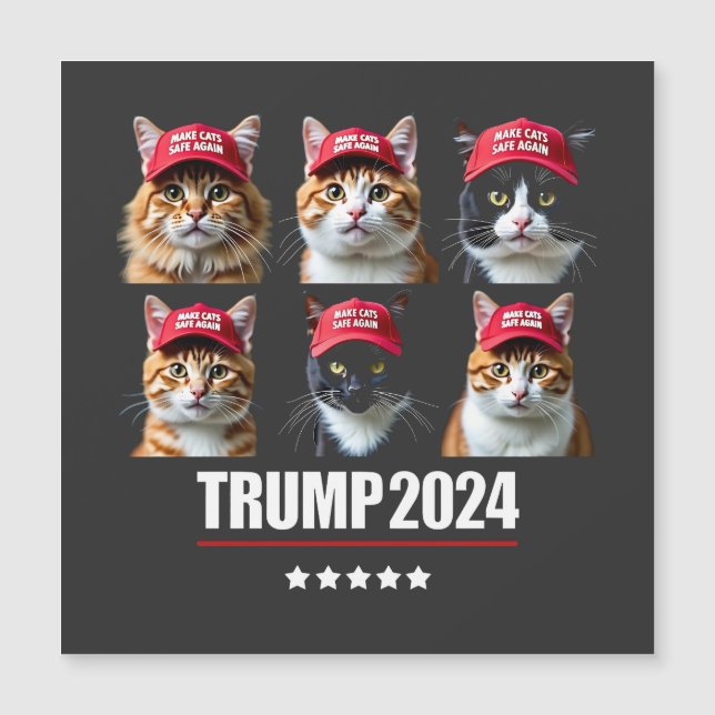 Rendre les chats en sécurité à l'élection de Maga  (Devant)