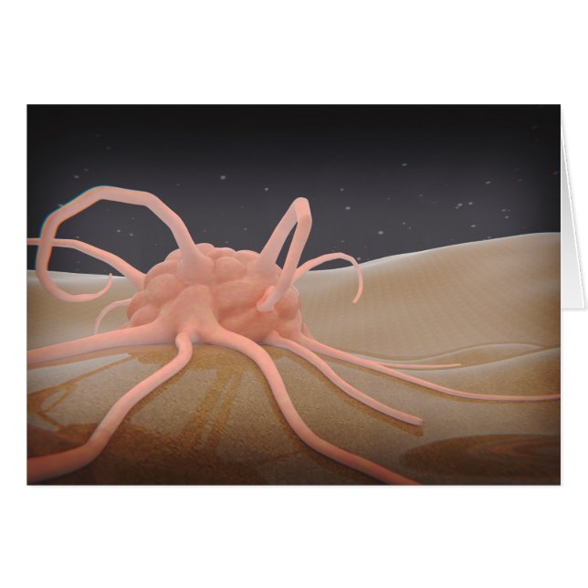 Rendu 3D De La Phagocytose De Macrophage (Devant horizontal)