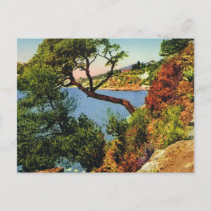 Réplique carte postale Vintage, Toulon, Casquette