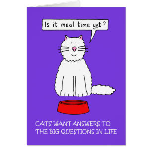Répondre aux questions de votre chat Jour Janvier