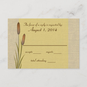 Réponse de Cattail Lake