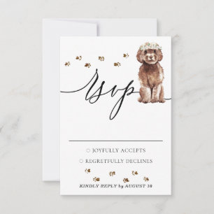 Réponse mariage Chien Cavapo Brown