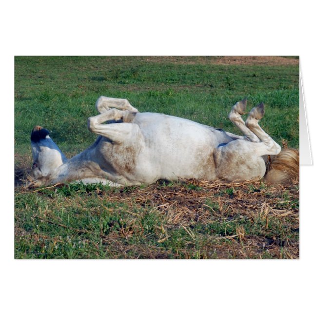 Repose (Devant horizontal)