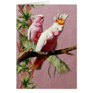 Repose de Cockatoos roses - Personnaliser