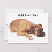 Repose de la boîte ouverte