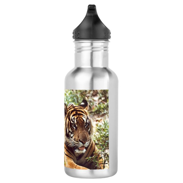 Repose de la bouteille d'eau de Tigre de Sumatran (Droite)