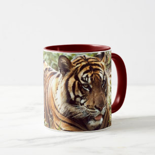 Repose de la tasse de tigre de Sumatran