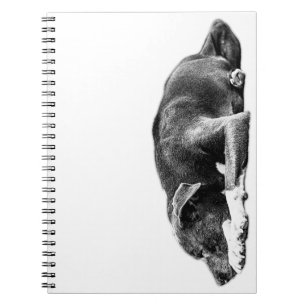 Repose d'un Carnet d'art monochrome de mélange de