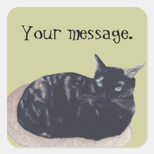 Repose Tortoise Shell Cat Vos Stickers Message