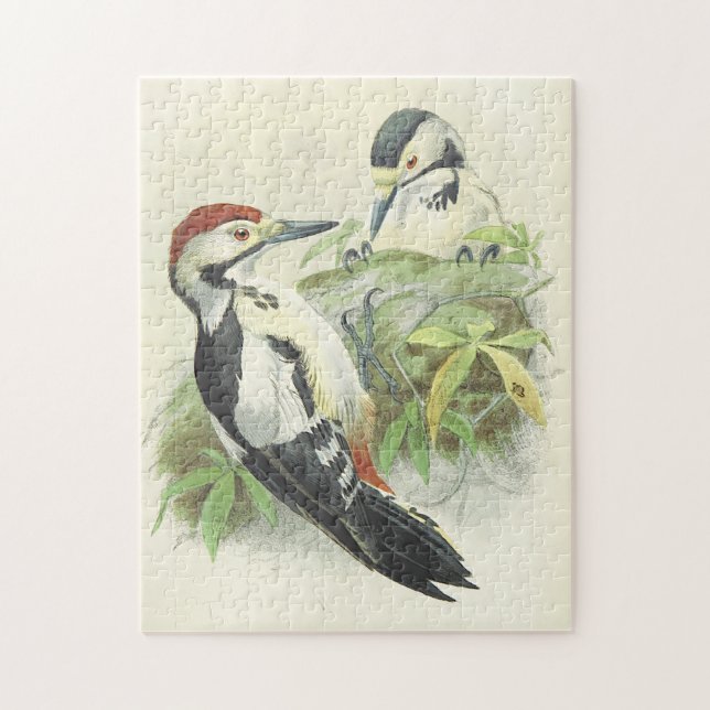 Représentation des oiseaux de style vintage Puzzle (Vertical)