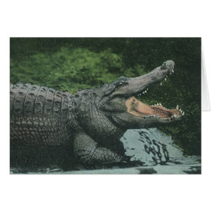 Reptiles de crocodile vintage, Vie animale marine