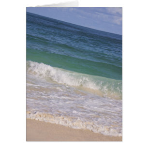 République dominicaine, Caraïbes, Punta Cana, 7