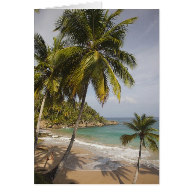 République Dominicaine, Côte Nord, Abreu, Playa (Devant)