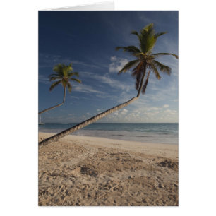 République dominicaine, région de Punta Cana, Bava