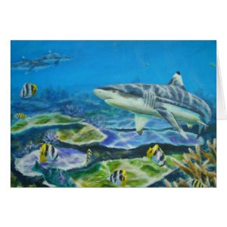 requin Tahiti