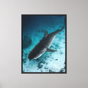Requin tigre sous l'océan Océan Faune Mur de toile