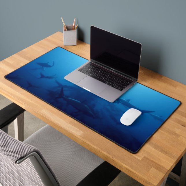 REQUINS (Bureau 2)