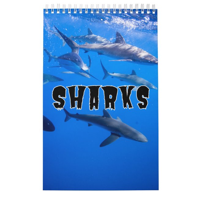 Requins Collection Showcase Wall Calendrier (Protection)