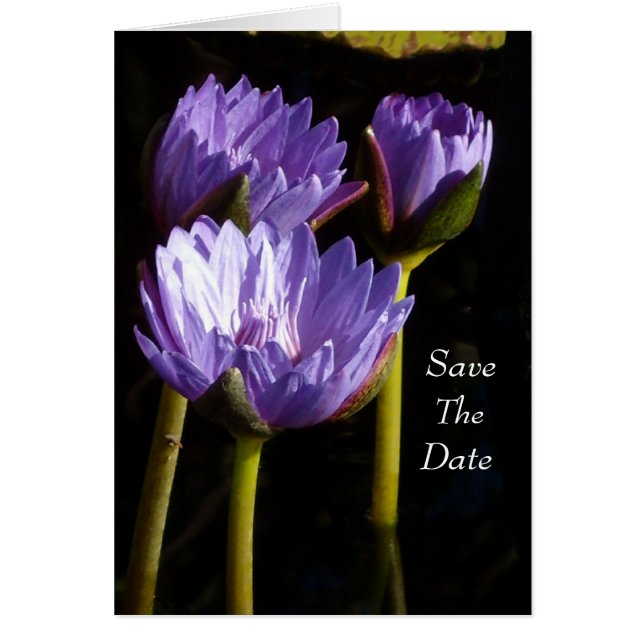 Réservez la date (Devant)