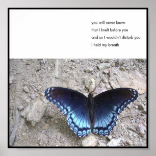 Respiration - Poster de la série 6x6