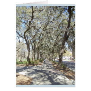 Ressort dans la savane