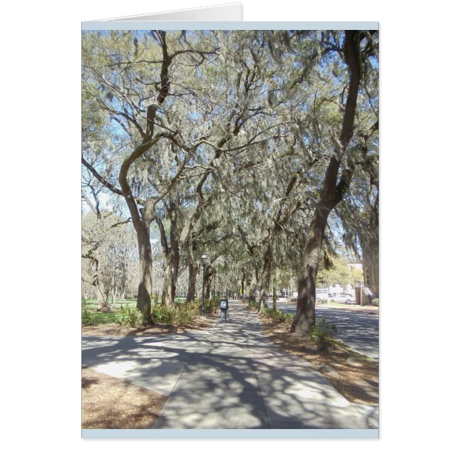 Ressort dans la savane (Devant)